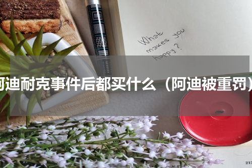 阿迪耐克事件后都买什么（阿迪被重罚）