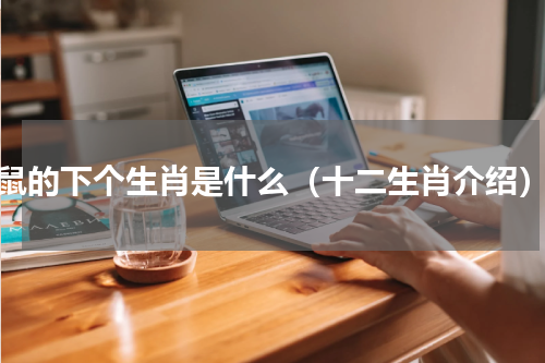 鼠的下个生肖是什么（十二生肖介绍）