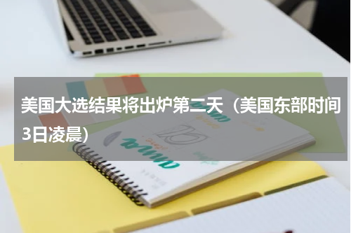 美国大选结果将出炉第二天（美国东部时间3日凌晨）