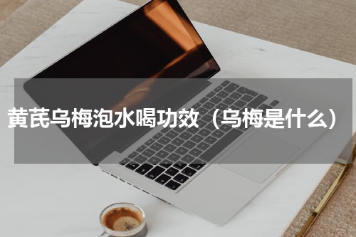 黄芪乌梅泡水喝功效（乌梅是什么）