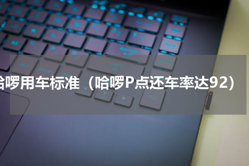 哈啰用车标准（哈啰P点还车率达92）
