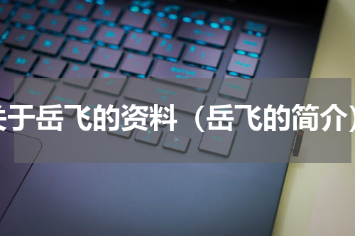 关于岳飞的资料（岳飞的简介）