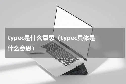 typec是什么意思（typec具体是什么意思）