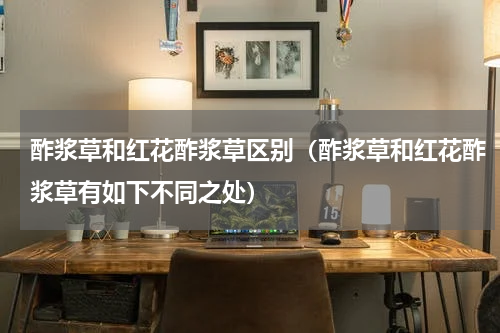 酢浆草和红花酢浆草区别（酢浆草和红花酢浆草有如下不同之处）