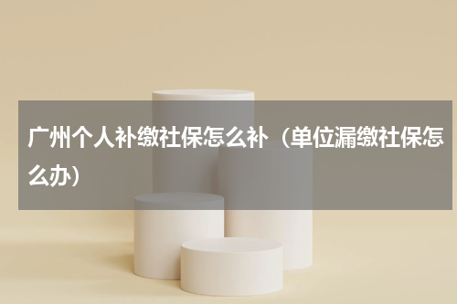 广州个人补缴社保怎么补（单位漏缴社保怎么办）