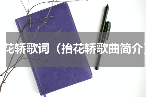 抬花轿歌词（抬花轿歌曲简介）