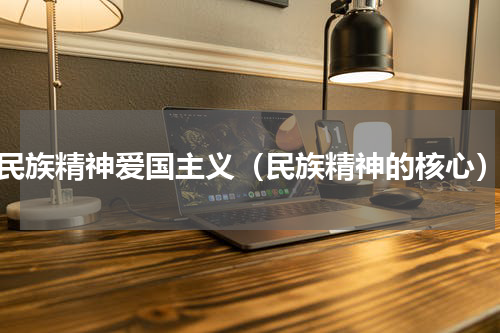 民族精神爱国主义（民族精神的核心）