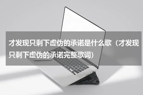 才发现只剩下虚伪的承诺是什么歌（才发现只剩下虚伪的承诺完整歌词）