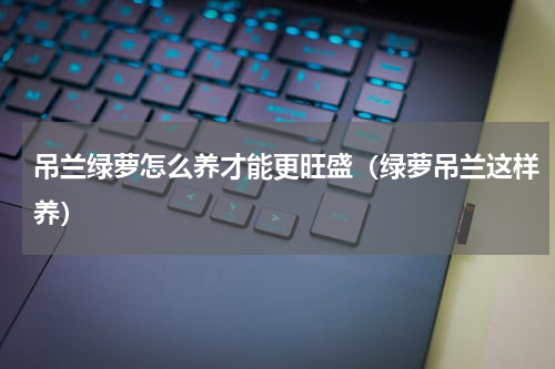 吊兰绿萝怎么养才能更旺盛（绿萝吊兰这样养）