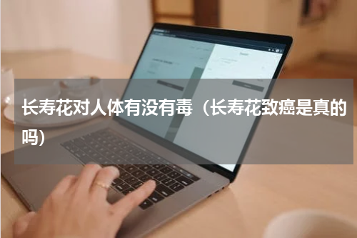 长寿花对人体有没有毒（长寿花致癌是真的吗）