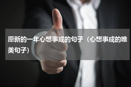 愿新的一年心想事成的句子（心想事成的唯美句子）