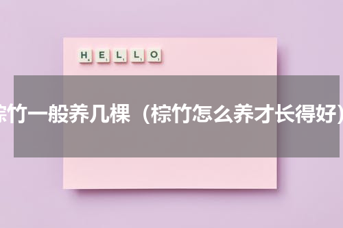 棕竹一般养几棵（棕竹怎么养才长得好）