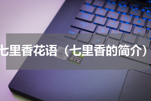 七里香花语（七里香的简介）