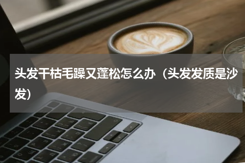 头发干枯毛躁又蓬松怎么办（头发发质是沙发）