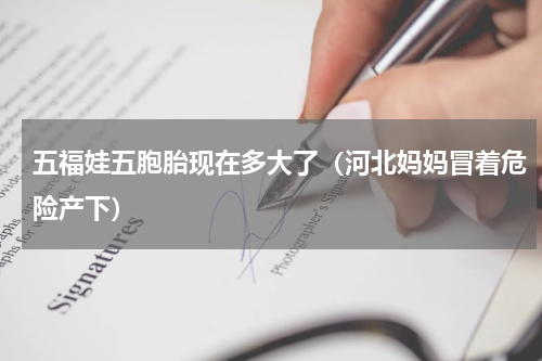 五福娃五胞胎现在多大了（河北妈妈冒着危险产下）