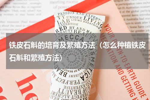 铁皮石斛的培育及繁殖方法（怎么种植铁皮石斛和繁殖方法）