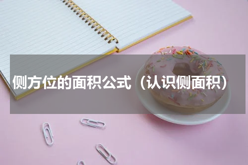 侧方位的面积公式（认识侧面积）