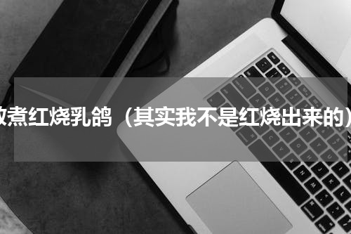 教煮红烧乳鸽（其实我不是红烧出来的）