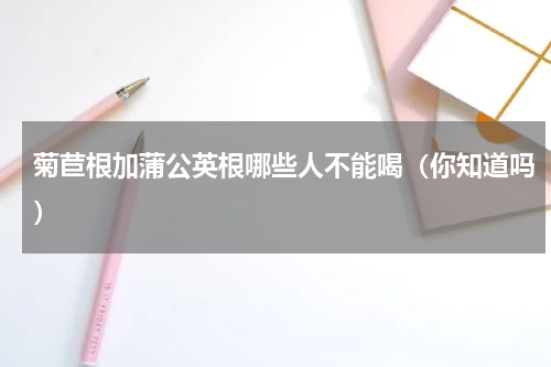 菊苣根加蒲公英根哪些人不能喝（你知道吗）