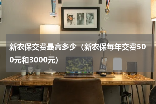 新农保交费最高多少（新农保每年交费500元和3000元）