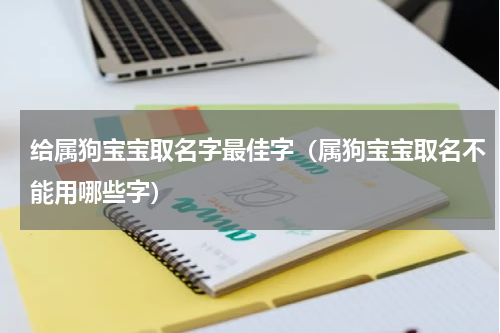 给属狗宝宝取名字最佳字（属狗宝宝取名不能用哪些字）