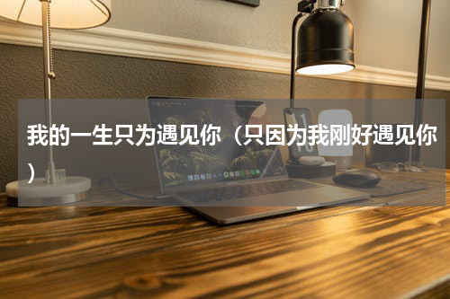 我的一生只为遇见你（只因为我刚好遇见你）