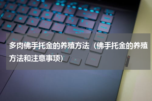 多肉佛手托金的养殖方法（佛手托金的养殖方法和注意事项）