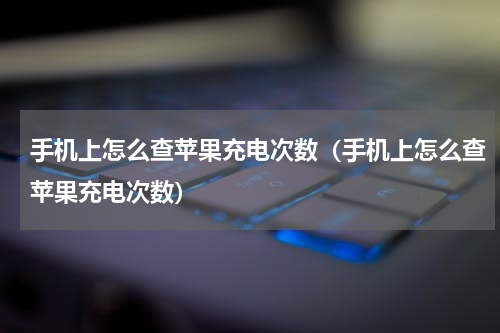 手机上怎么查苹果充电次数（手机上怎么查苹果充电次数）