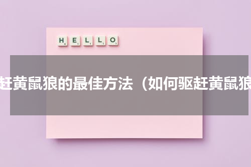 驱赶黄鼠狼的最佳方法（如何驱赶黄鼠狼）