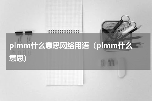 plmm什么意思网络用语（plmm什么意思）