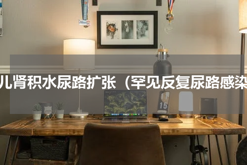 小儿肾积水尿路扩张（罕见反复尿路感染）