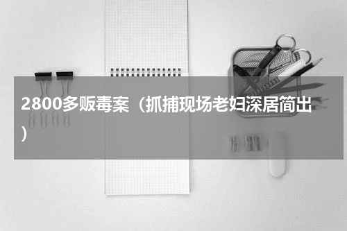 2800多贩毒案（抓捕现场老妇深居简出）