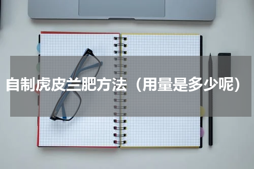 自制虎皮兰肥方法（用量是多少呢）