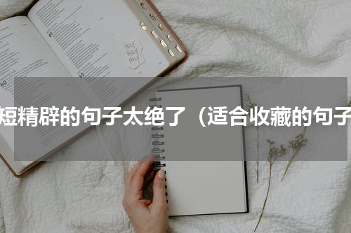 简短精辟的句子太绝了（适合收藏的句子）