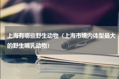 上海有哪些野生动物（上海市境内体型最大的野生哺乳动物）