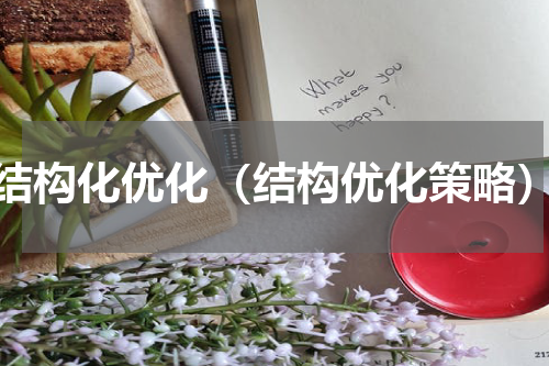 结构化优化（结构优化策略）
