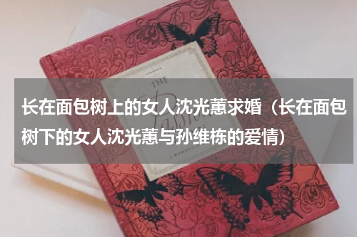 长在面包树上的女人沈光蕙求婚（长在面包树下的女人沈光蕙与孙维栋的爱情）