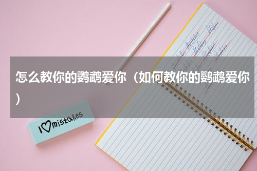 怎么教你的鹦鹉爱你（如何教你的鹦鹉爱你）
