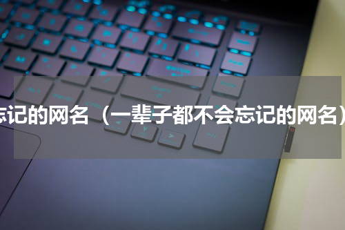 忘记的网名（一辈子都不会忘记的网名）