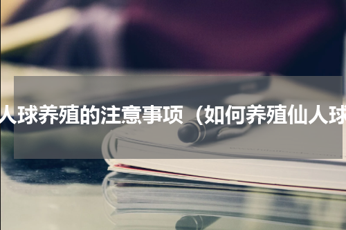 仙人球养殖的注意事项（如何养殖仙人球）
