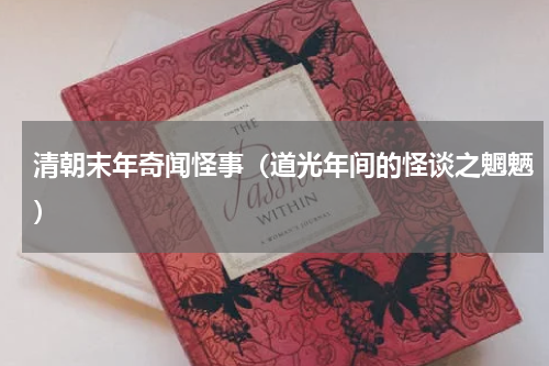 清朝末年奇闻怪事（道光年间的怪谈之魍魉）