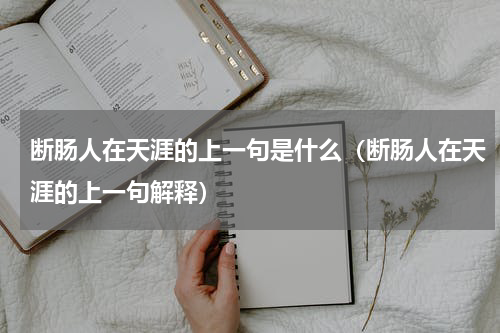 断肠人在天涯的上一句是什么（断肠人在天涯的上一句解释）