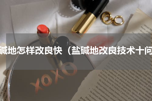 盐碱地怎样改良快（盐碱地改良技术十问）