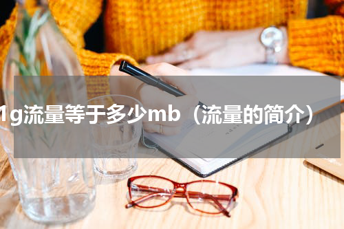 1g流量等于多少mb（流量的简介）
