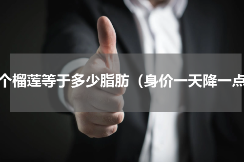一个榴莲等于多少脂肪（身价一天降一点）