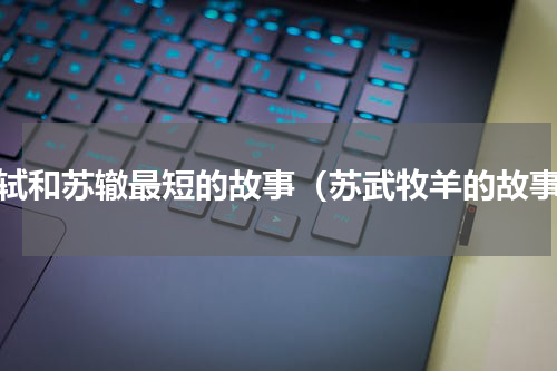 苏轼和苏辙最短的故事（苏武牧羊的故事）