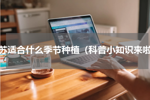 紫苏适合什么季节种植（科普小知识来啦）