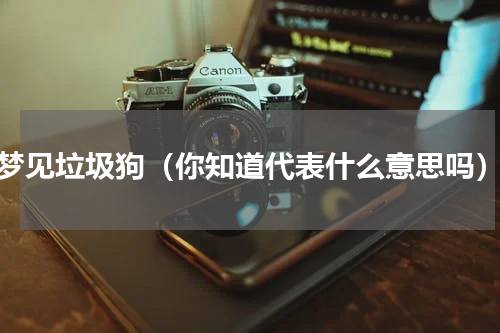 梦见垃圾狗（你知道代表什么意思吗）