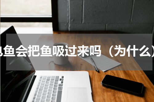 电鱼会把鱼吸过来吗（为什么）