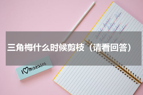 三角梅什么时候剪枝（请看回答）